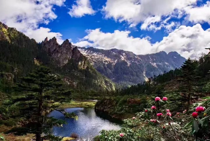 news-xielu-02.jpg 仙女般的活法欣赏 | 设计赏析