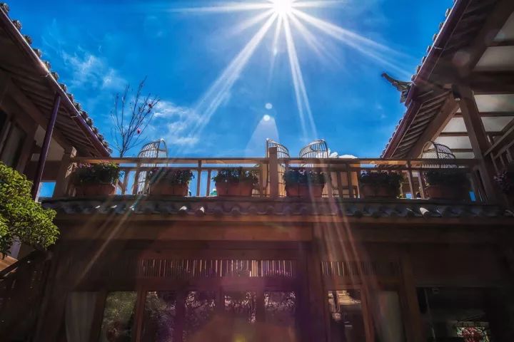 news-xielu-12.jpg 仙女般的活法欣赏 | 设计赏析