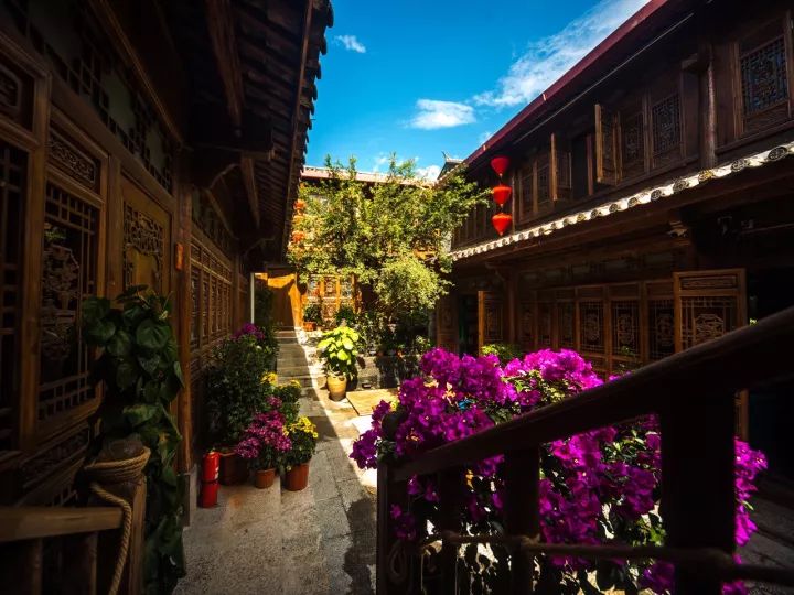 news-xielu-18.jpg 仙女般的活法欣赏 | 设计赏析