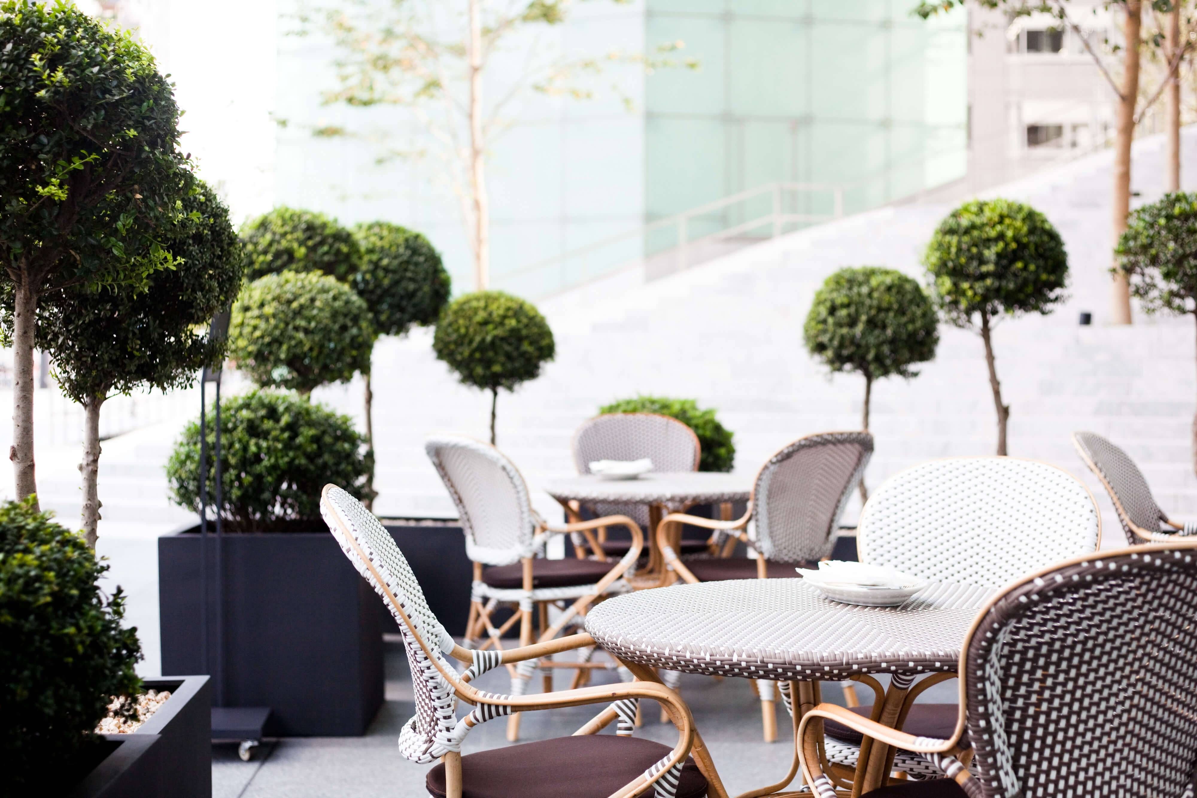 ANDAZ TOKYOˣƵ | ҾѧϼԣĵĶѧ | 