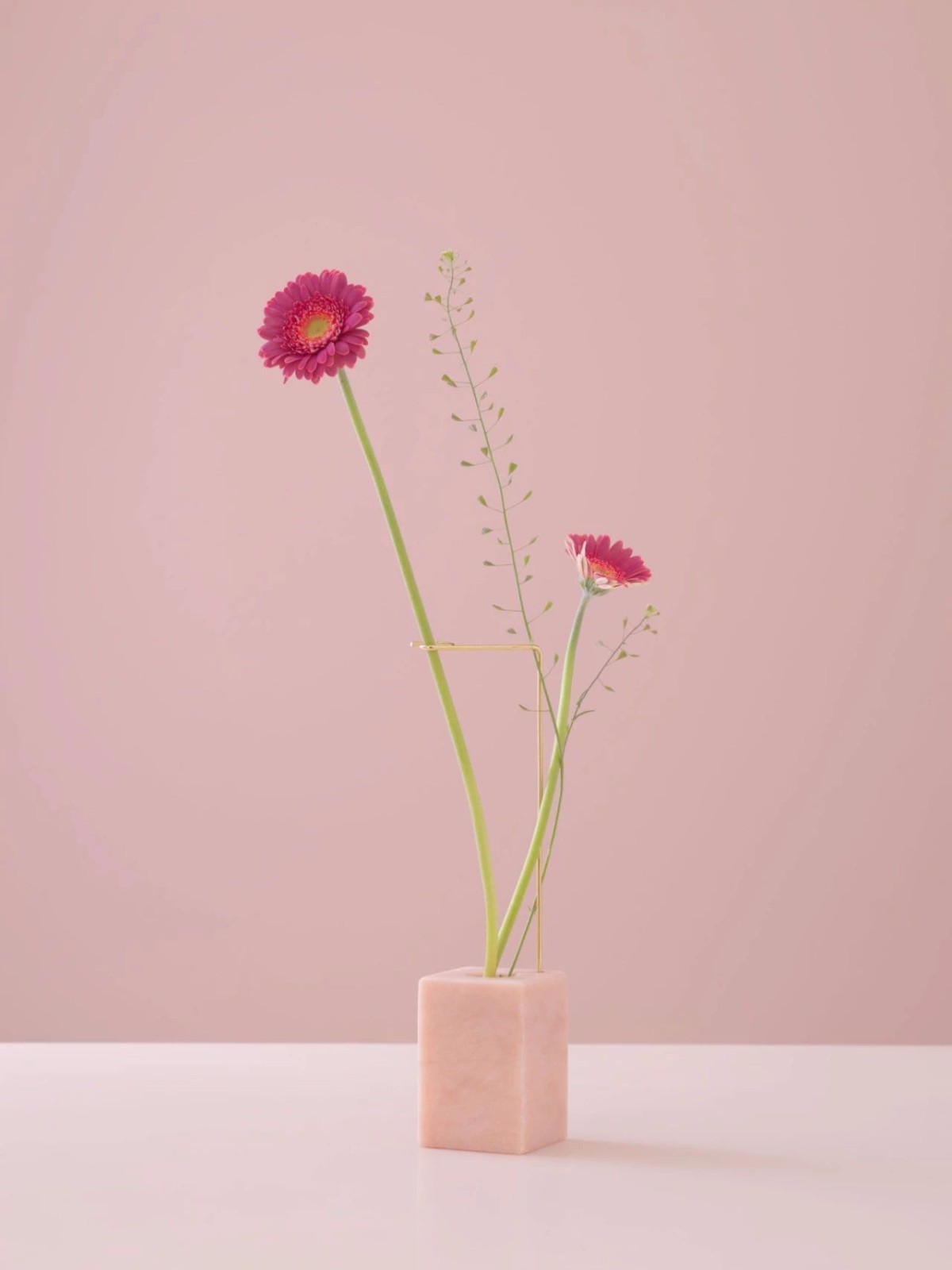 ʯ뻨حô | Ҿ
