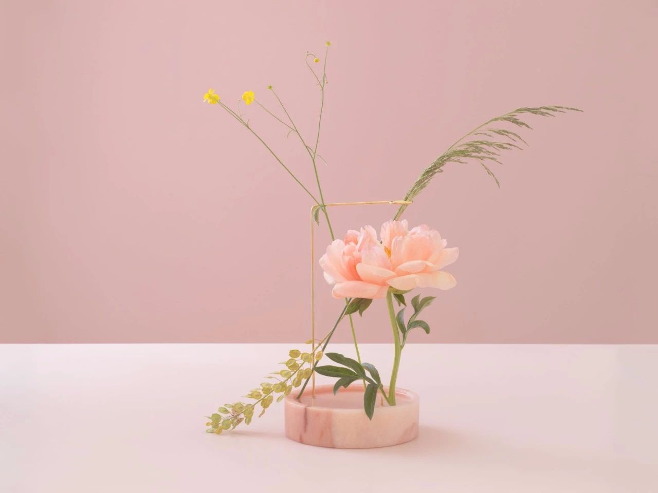 ʯ뻨حô | Ҿ
