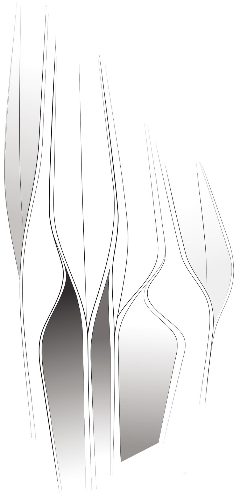 Rosenthalϵ / Zaha Hadid Design | Ҿ