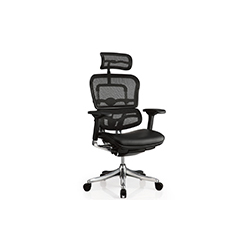 ϵ Erghuman office chair  