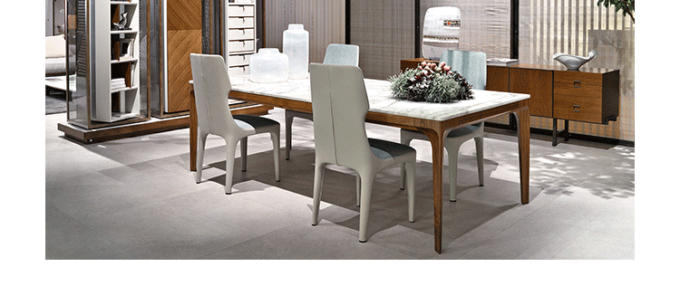 TicheΡtiche chairA029Ʒ