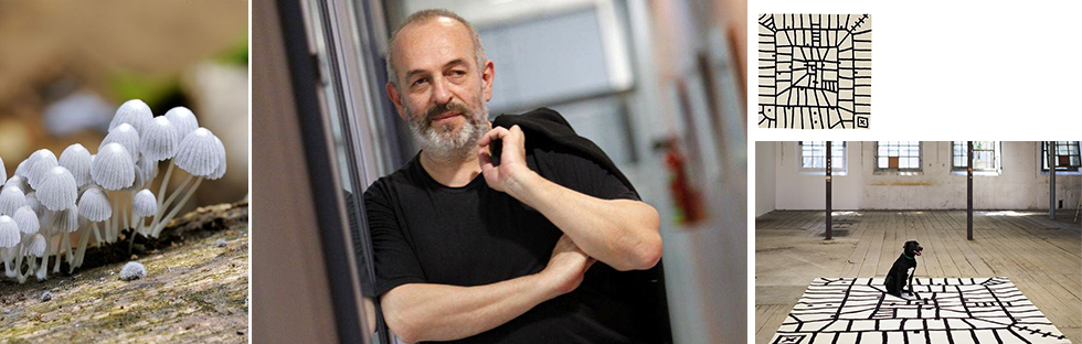 Xano Armenter